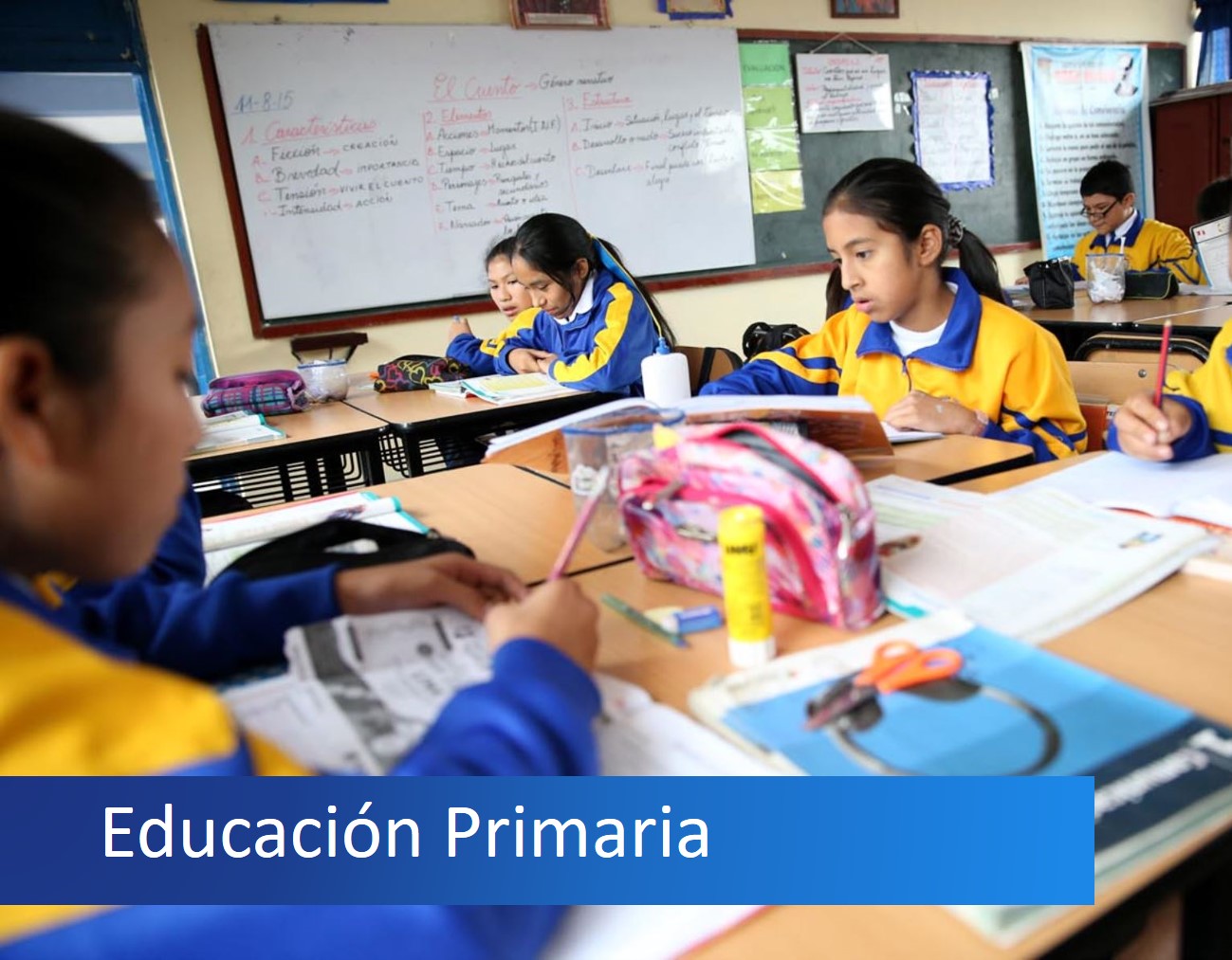 EDUCACIÓN PRIMARIA